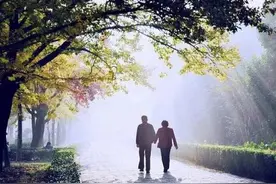 故事：恩爱四十年，老叟临死前掏出颗桃核，对老伴叹道：种下吧图片
