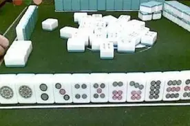 梅实：麻将呀，你到底有什么魔力？图片