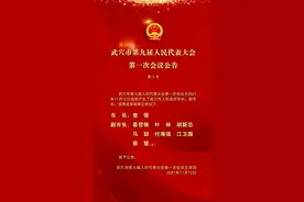 黄冈市武穴市选举产生新一届市人民政府领导班子 查俊当选为市长图片