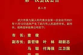 黄冈市武穴市选举产生新一届市人民政府领导班子 查俊当选为市长图片