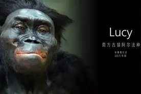人类祖先有多残忍？冲出非洲之后，血洗了地球上的生物图片