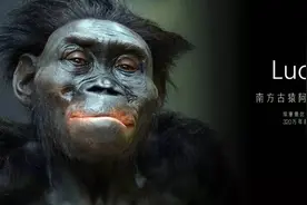 人类祖先有多残忍？冲出非洲之后，血洗了地球上的生物图片