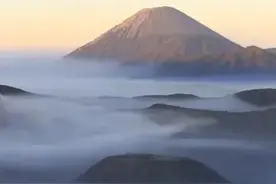 生命感悟一母亲图片