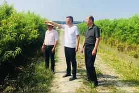 3天！仙桃这个村7000斤“扶贫桃”全卖光了图片