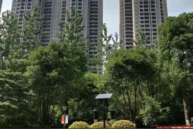 清盘在即！长沙两大捂盘王最后楼栋下证，7字头，8字头图片