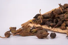 阴茎、阴囊红肿，糜烂，有红斑，碰触疼痛，中医辨证治疗1例图片
