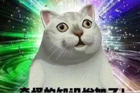 奇怪的知识又增加了！传统建筑竟然是这样防潮......图片