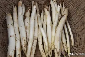有一种埋在土里的名贵蔬菜，好吃不好挖，一般人找不到图片