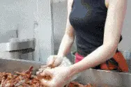 搞笑GIF：来啦，老弟，不想来一串吗？图片