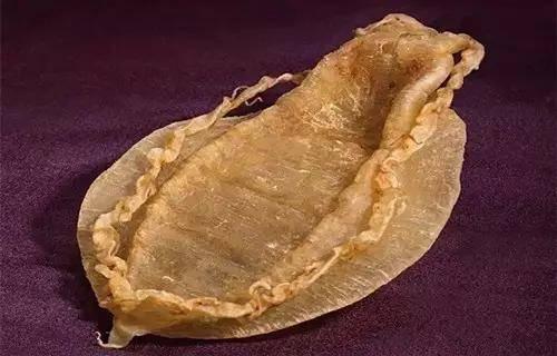 鱼鳞和鱼胶哪个抗衰老好