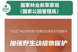 不得了！宜宾竟有这么多珍贵野生动物图片