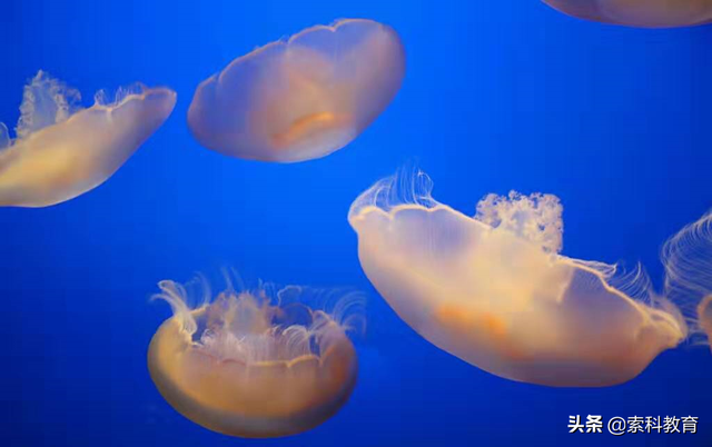 史上最全的高中生物知识点，一定要看