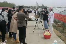 兰山区组织“网红”直播带货，20分钟为瓜农卖出甜瓜680箱图片