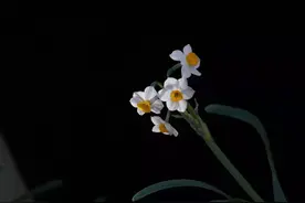 拍照拍到没内存！北京这个四季如春的大花园，又多了69个梦幻景点！图片