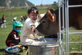 今天“六一”儿童节，带着孩子来温州这些“快乐星球”边玩边学！图片