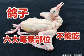 鸽子身上6个部位毒素最大，你知道吗？看20年大厨专业详细讲解图片