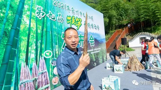 上山尝鲜去！第九届牛尾笋采摘体验季启动