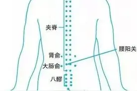 腰阳关：腰骶疼痛，下肢痿痹；月经不调、赤白带下等妇科病证图片
