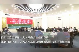 两会深一度（二）| 石泰峰：“让我们的孩子像雄鹰一样，飞得更高，飞得更远！”图片
