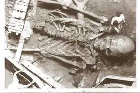 身高7米？史前巨人唯一存在过的证明图片