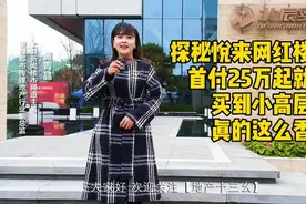 探秘悦来网红楼盘：首付25万起-29万止就能买到小高层？真的这么香？图片