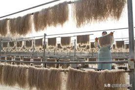 关于开办一家粉条粉丝加工厂的3个投资建议与粉条机设备行业分析图片