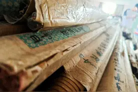 画面太震撼！金职院283卷尘封已久的医教手绘挂图重现于世图片