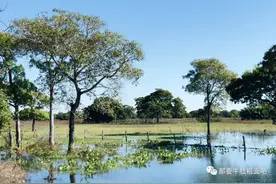 巴西最好玩的地方不是亚马逊？我在这做个没信号的户外女孩图片
