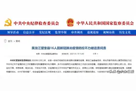 望奎问责16人！今年前20天这些人因疫情防控受到处理图片