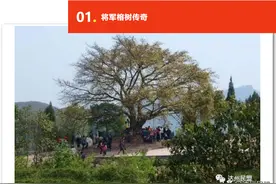 特刊（一） | 盟员廖继康讲故乡达州的红军故事图片