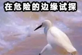 你又错过了？闲鱼的“上门服务”，比看小电影还刺激图片