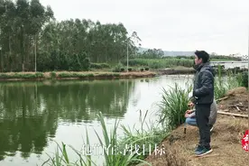 农村媳妇在水塘看到一种稀奇的猎鱼法，惊呆了，什么方法这么厉害视频封面