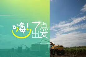 农业农村部：我国粮食产量丰、库存足 不必抢购囤积丨嗨！七点出发图片