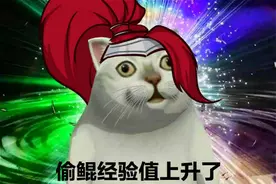 长见识！《王者荣耀》妲己被憨憨猫吸粉，化身污妖王玩坏诸葛亮？图片