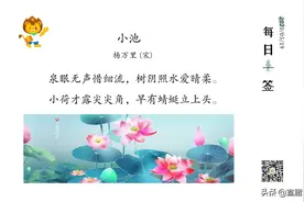 描写夏天的54个成语、俗语、范文，很实用图片