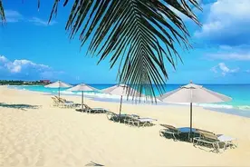 深圳富婆们的生活之六、从住豪宅沦为住廉租屋的女人图片