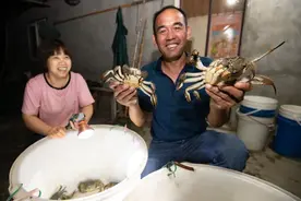 小小螃蟹带动20亿元大产业！它与气象关系那么大！图片