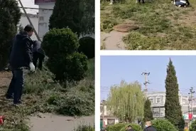 持续发力！武安各乡镇爱国卫生这样干—— 上团城乡图片