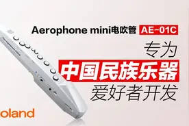 罗兰电吹管 AE-01C | 即刻掌握“吹、拉、弹拨”图片