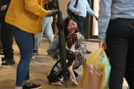 “扫码摸狗”真的来了！网友评论亮了……图片