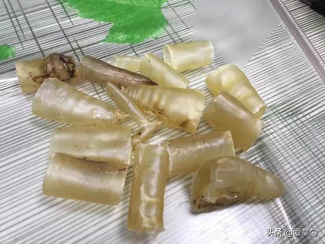 花胶炖牛奶要切开吗 2026年花胶炖牛奶要切开吗图片