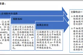 高糖诱导人肾小管上皮细胞高表达干细胞因子图片