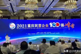 喜讯！沙师弟荣膺2021重庆民营企业百强第43位图片
