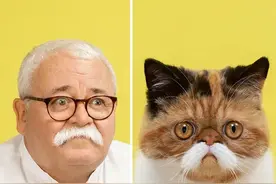 这些猫狗和主人也太像了！网友大呼亲生的都没这么像吧图片