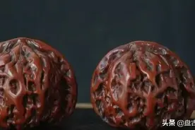 文玩核桃是如何到康熙皇帝手中的？图片