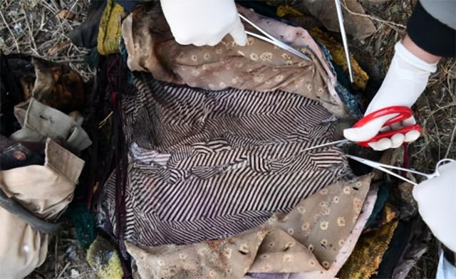 kitty藏尸案被告出狱11年 再涉非礼女童被判囚1年(hellokitty藏尸 