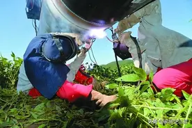 义乌新出一种电焊机，破铜烂铁全能焊！好用不贵，人人用得起图片