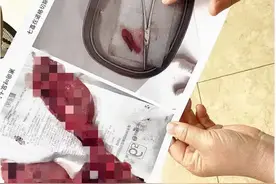 一人上法庭，三人被拘留！一条狗引发的连环案图片