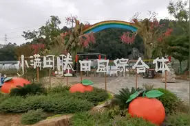 绝美！在合肥，不可错过的网红打卡点图片