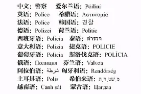各国「警察」都干啥？分工不同也是警察？图片